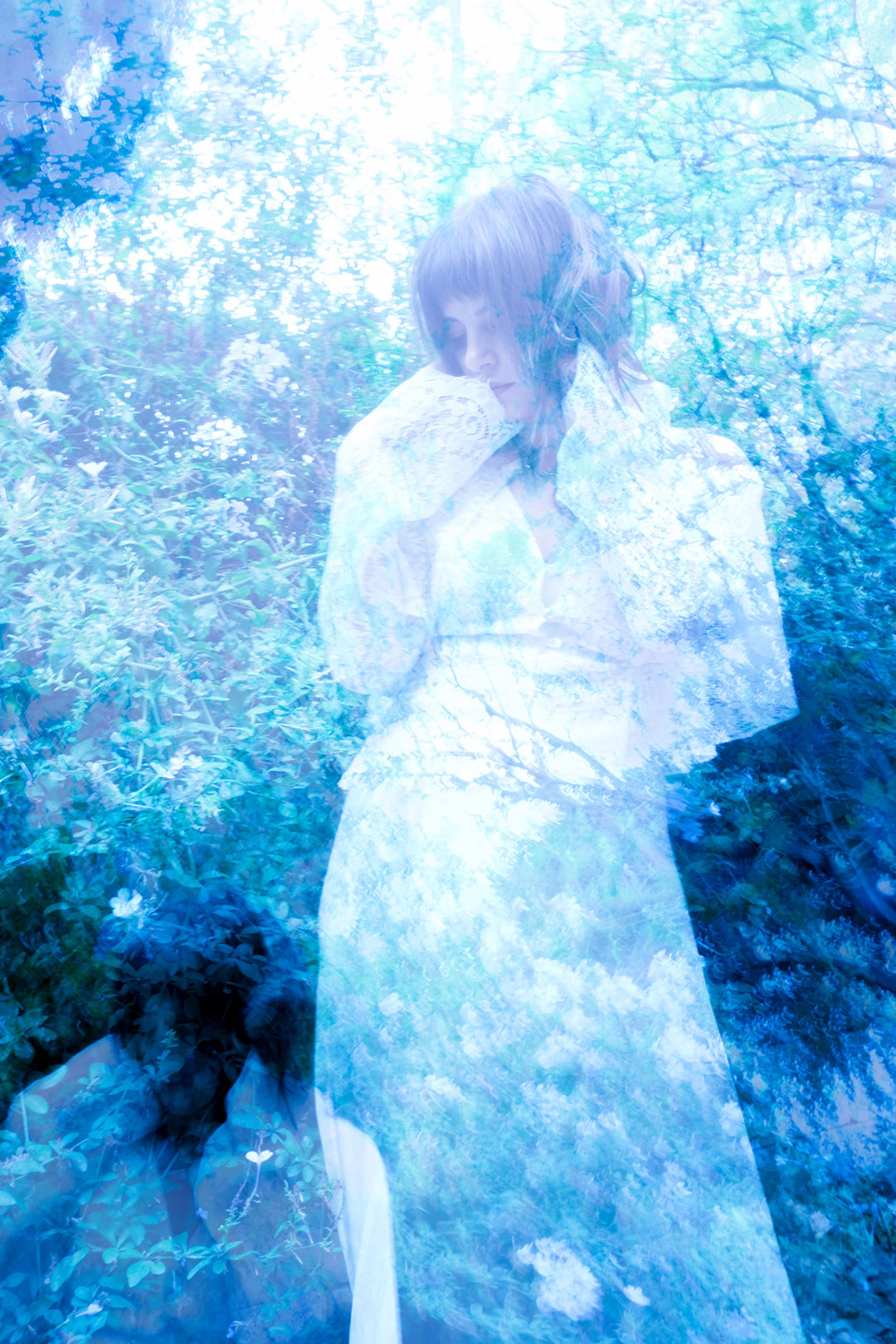 Image module