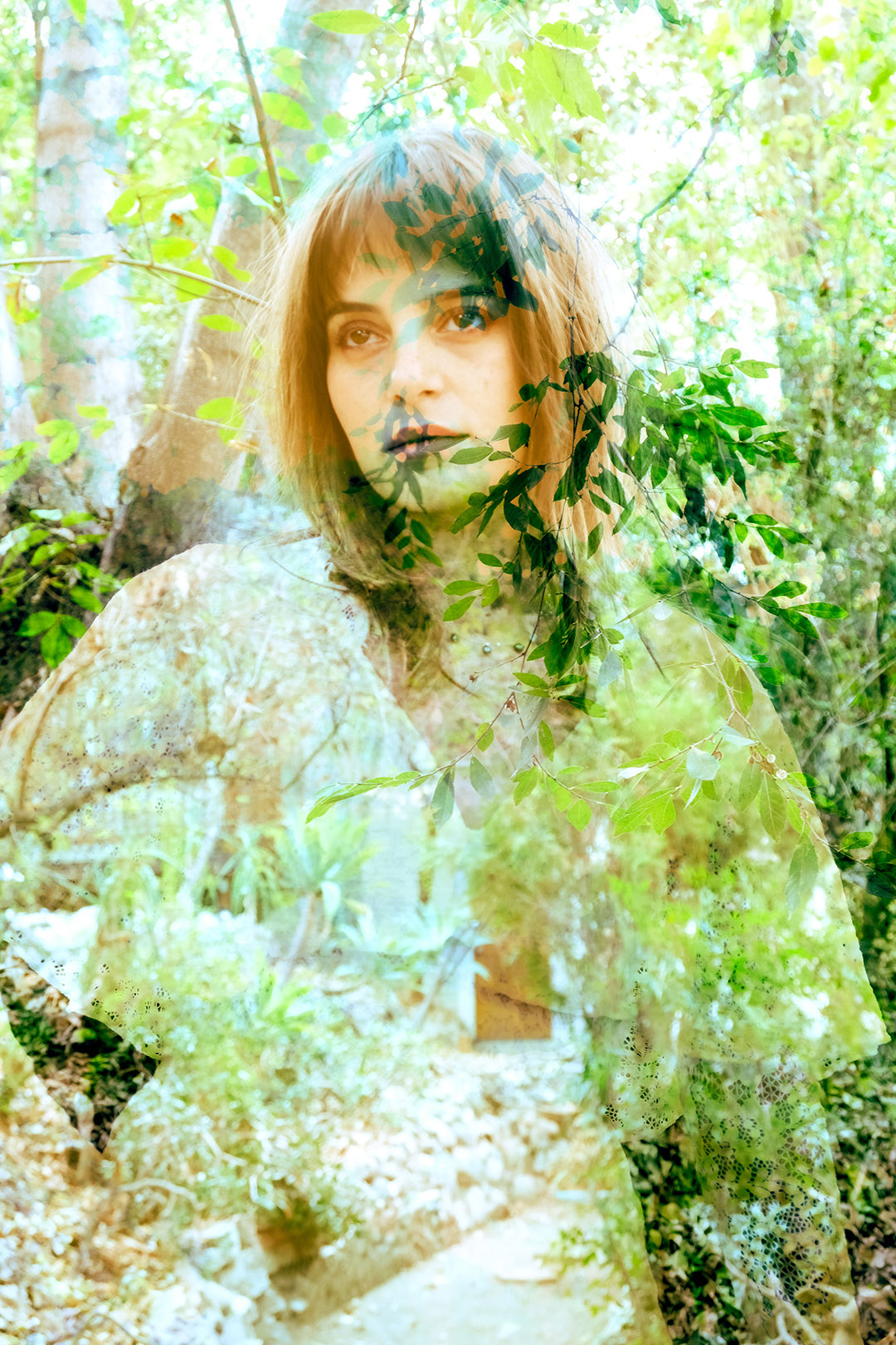 Image module