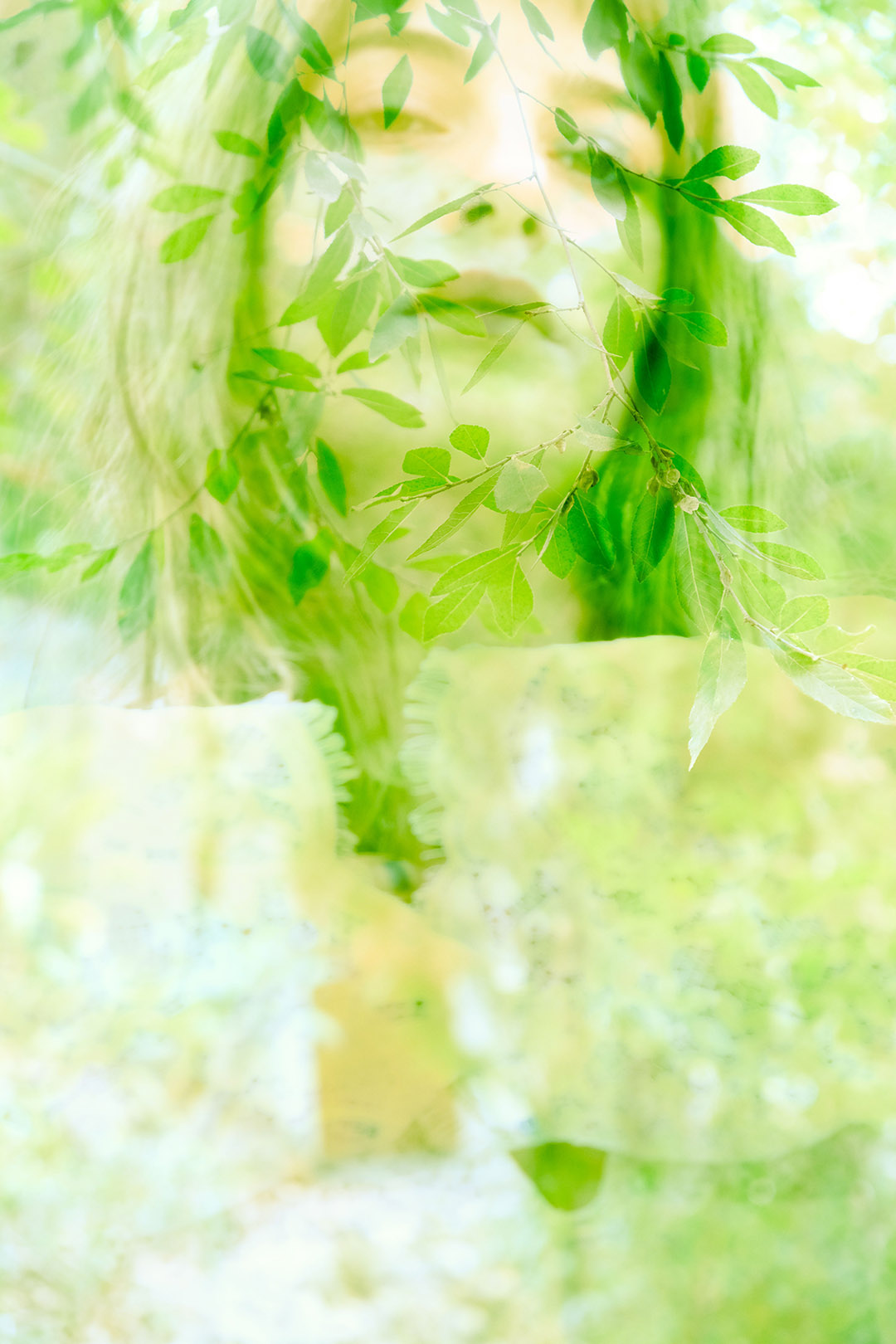 Image module